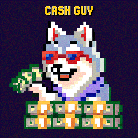 CASH GUY | Dogecar Chief Financial Officer