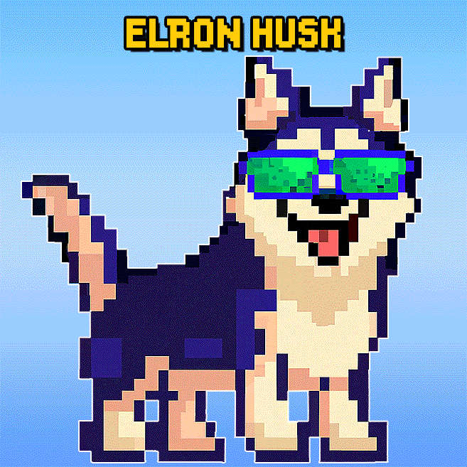 ELRON HUSK | CEO of Dogecar